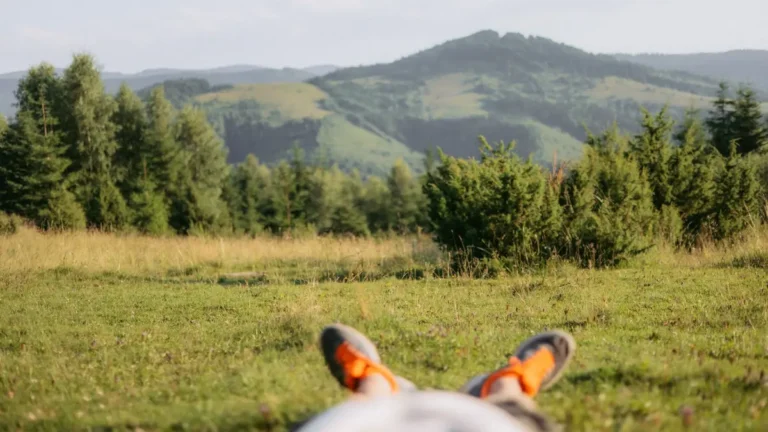 A tranquil view of lush hills and forests observed from a lying down perspective.